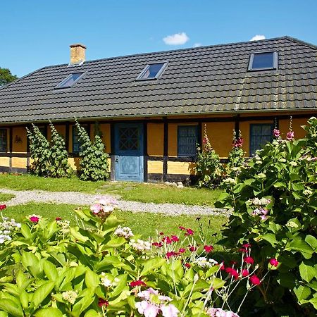 Mollegade 1 Holiday House Nordborg Exterior photo