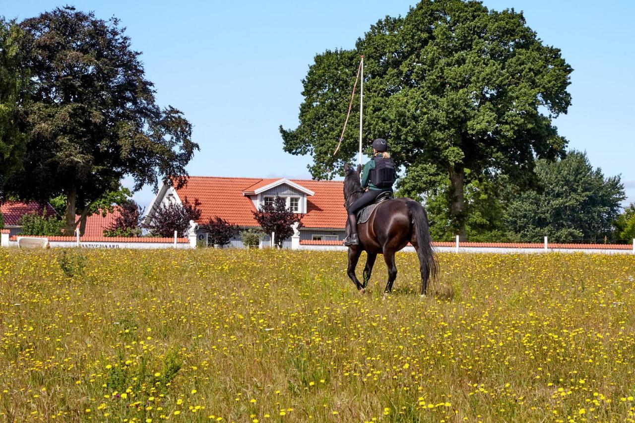Mollegade 1 Holiday House Nordborg Exterior photo